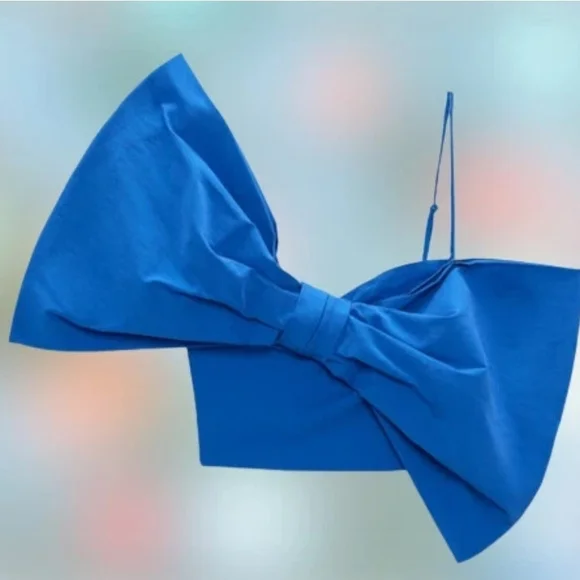 Zara Blue Tie Front Bustier Crop Top - Picture 8 of 8